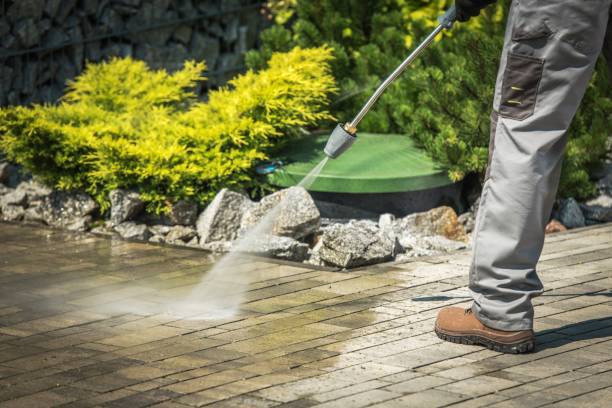 Best Solar Panel Cleaning  in Honeygo, MD