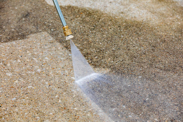 Best Dumpster Area Cleaning  in Honeygo, MD